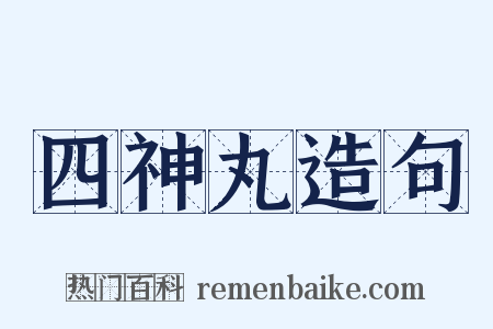 四神丸造句是什么意思的图片